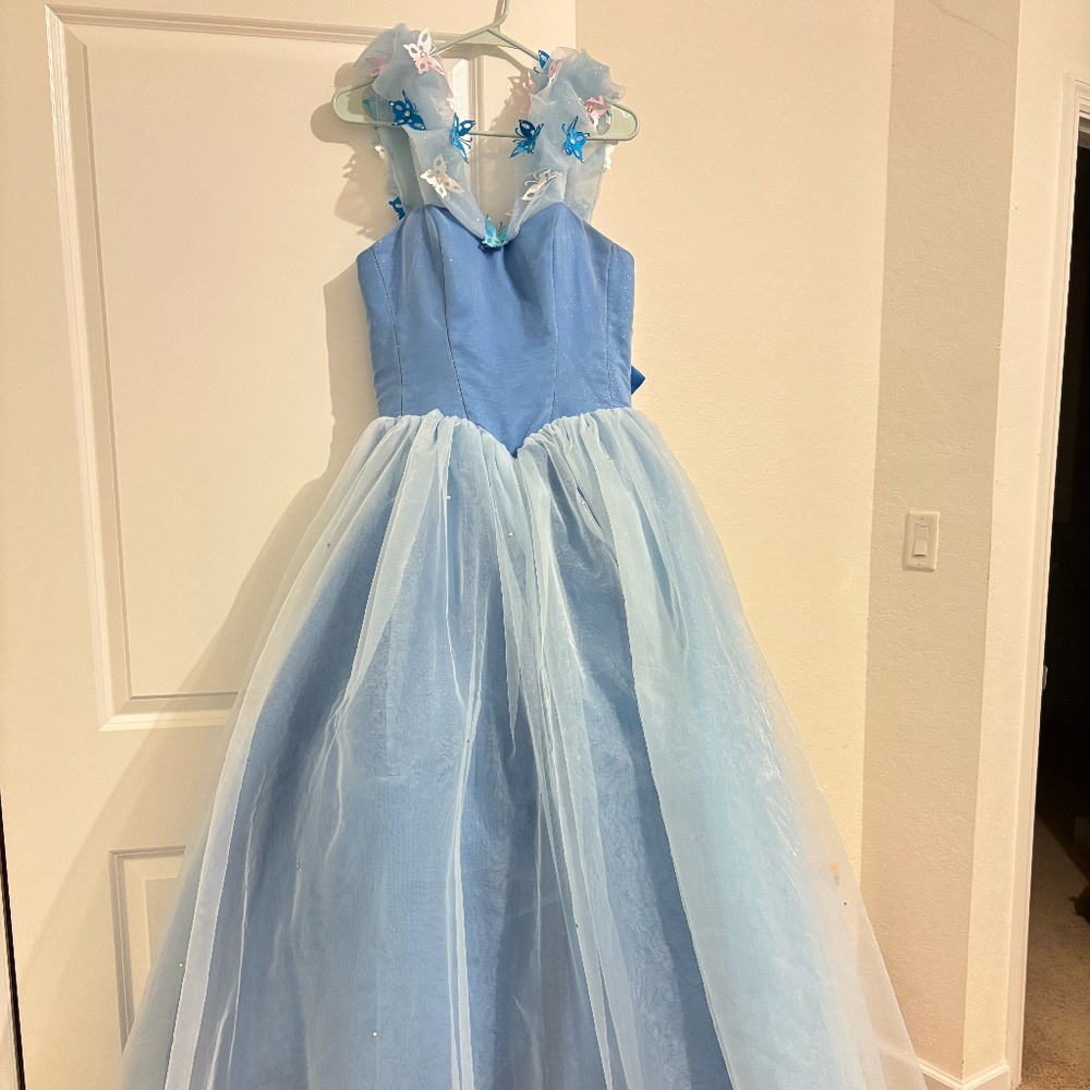 Cinderella Inspired Ball Gown